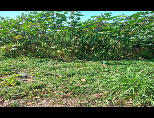 LAND FOR SALE IN SAICCOR